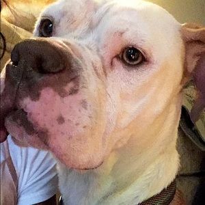 Meet your Posher, Kay